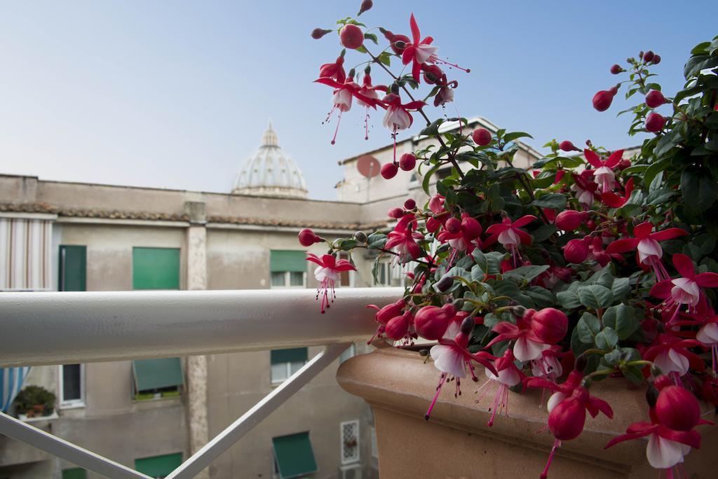 Di Fronte Alla Cupola Рим Стая снимка